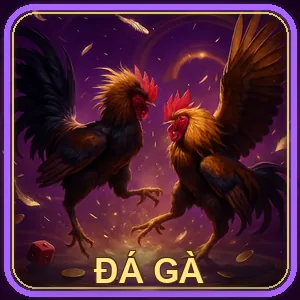 Đá gà lg cl88